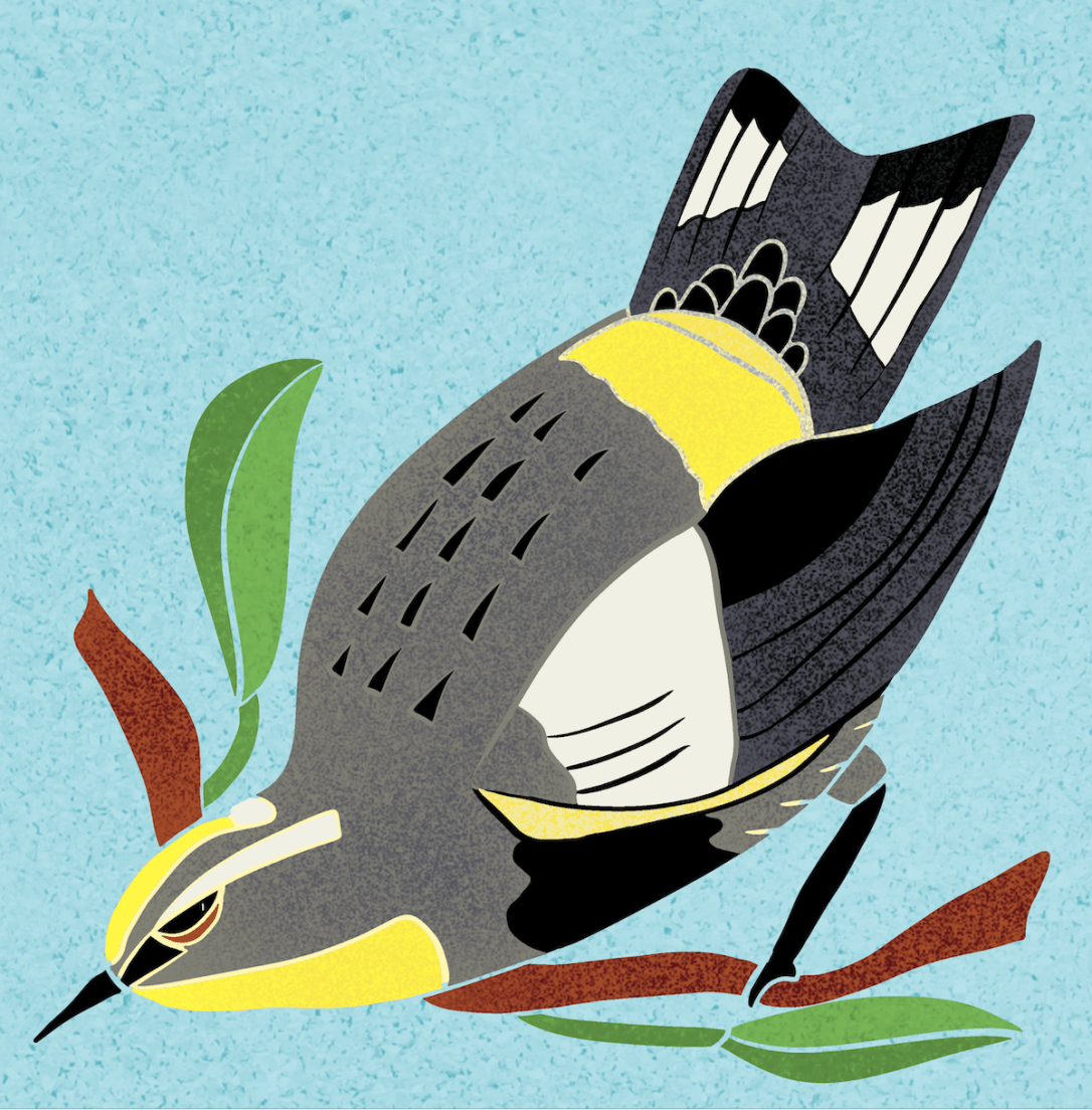 audubon.warbler.screen.png