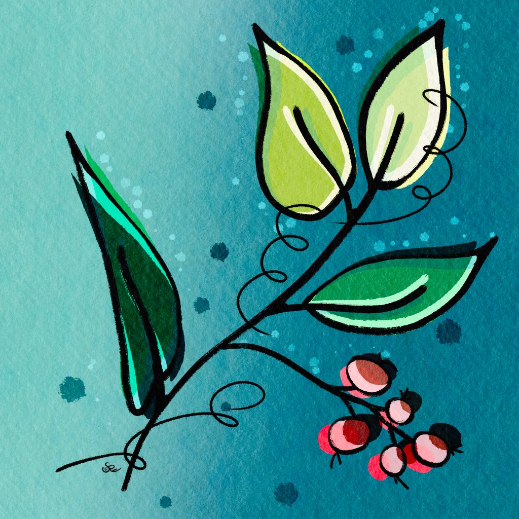 contour / off kilter