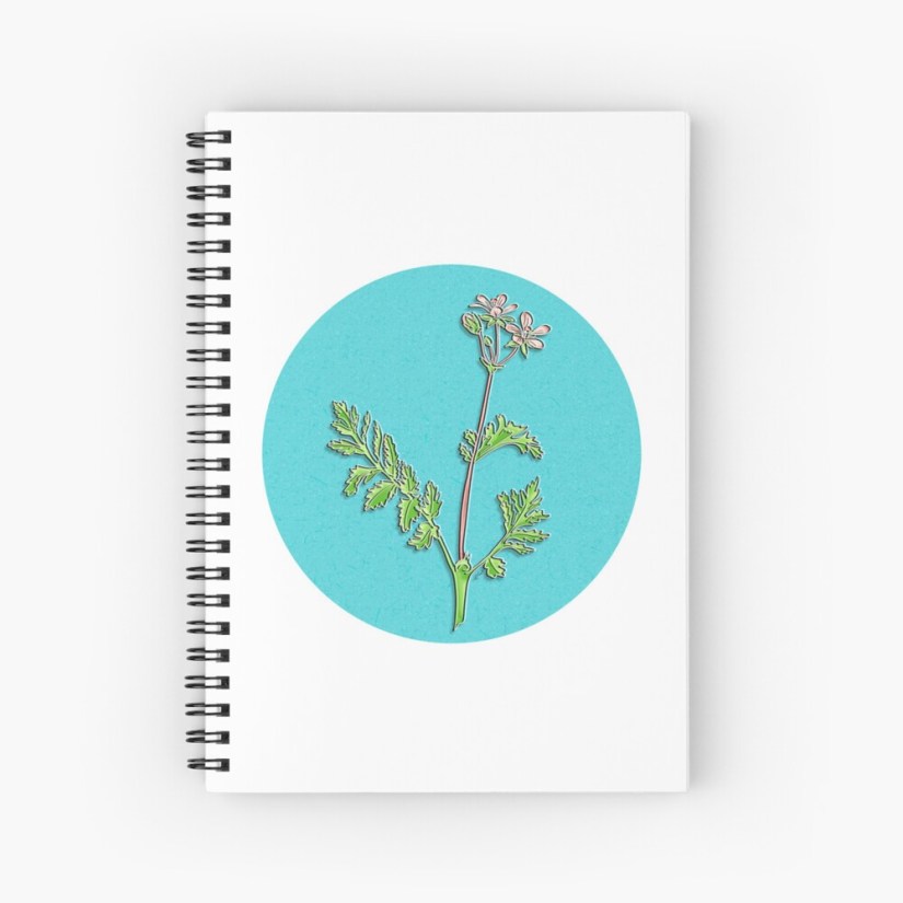 contour pinweed by Sheri42