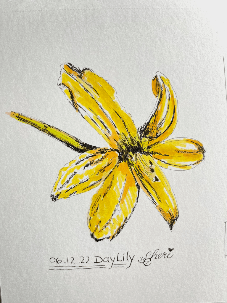 day lily; watercolor; Sheri42