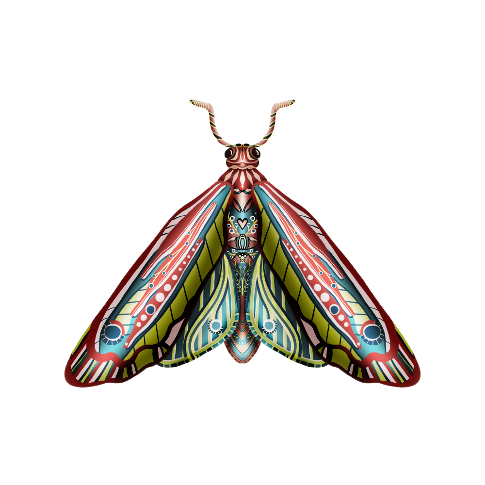 just the illustrated 3d moth