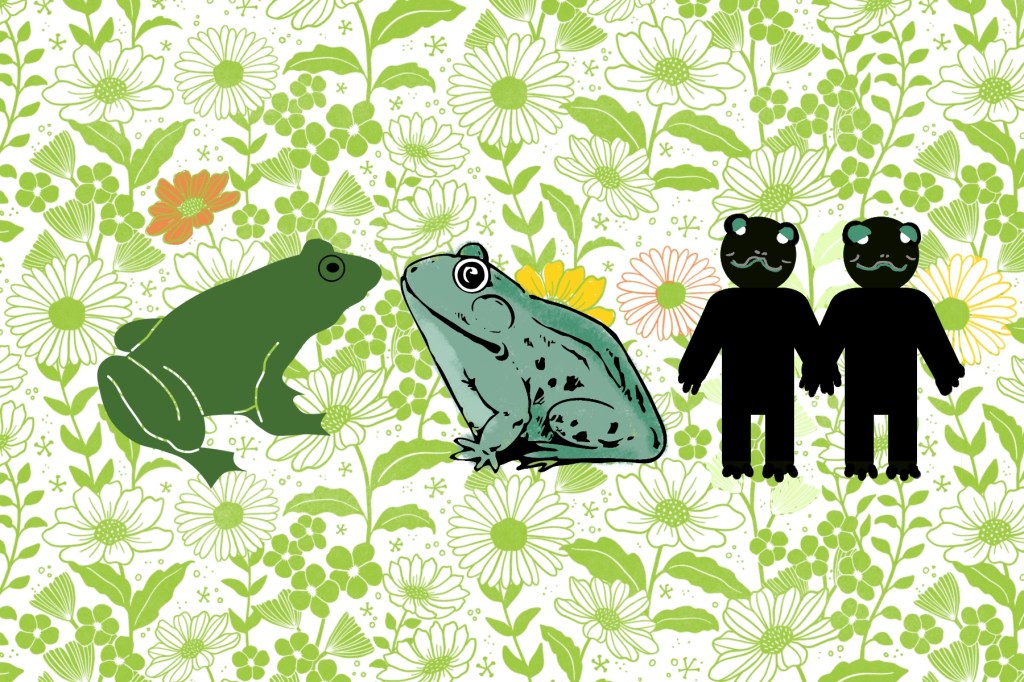 floral outline background to a green frog facing a green spotted toad beside two frog friends holding hands