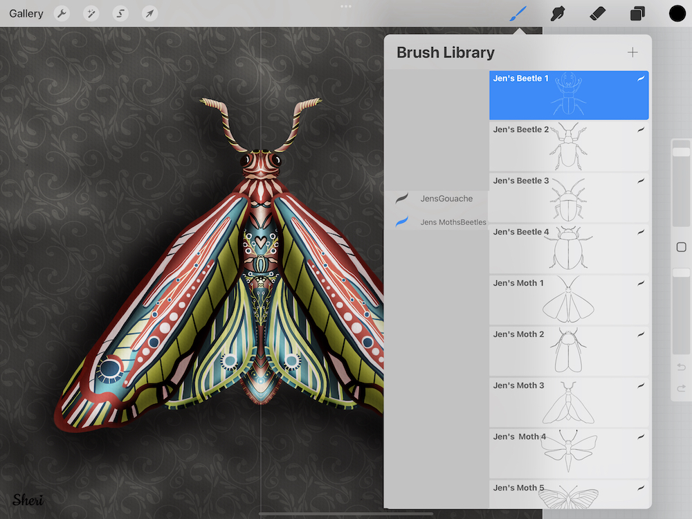moth with digital brushes showing-- different beetles and moths in outline format
