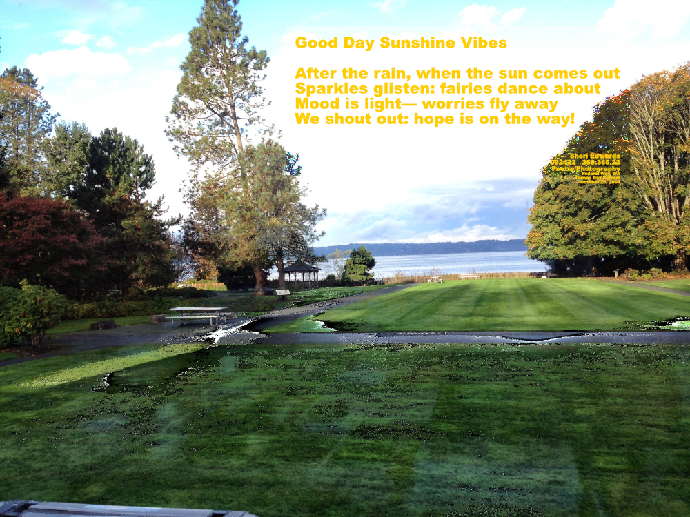 sun shines through clouds onto rain wet lawn sparkling in the sun with ocean in background