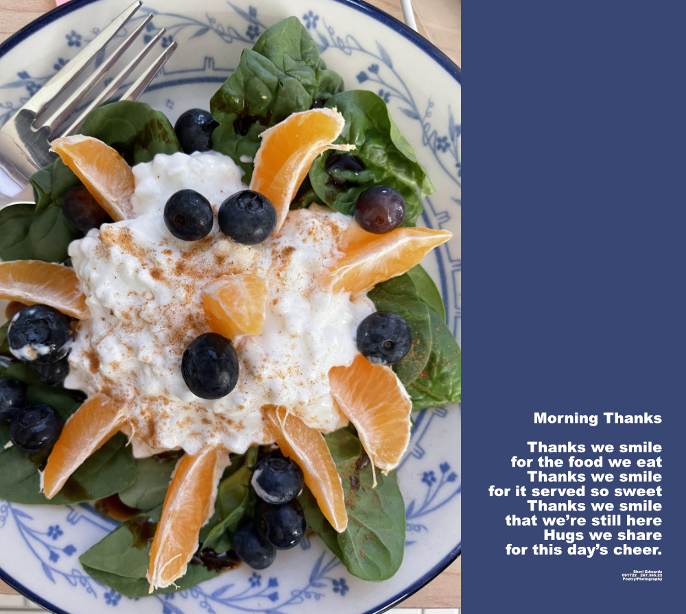 plate with blueberries as eyes and mouth on top of cottage cheese surrounded by tangerine slices all on top of a bed of spinach.