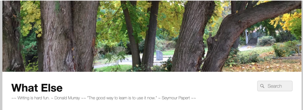 scene from a treed park as header to the "What Else" blog