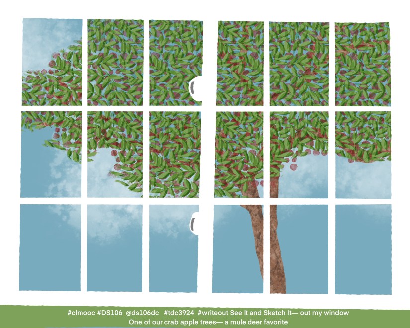 illustration of crab apple tree full of small crab apples outside of white gridded window