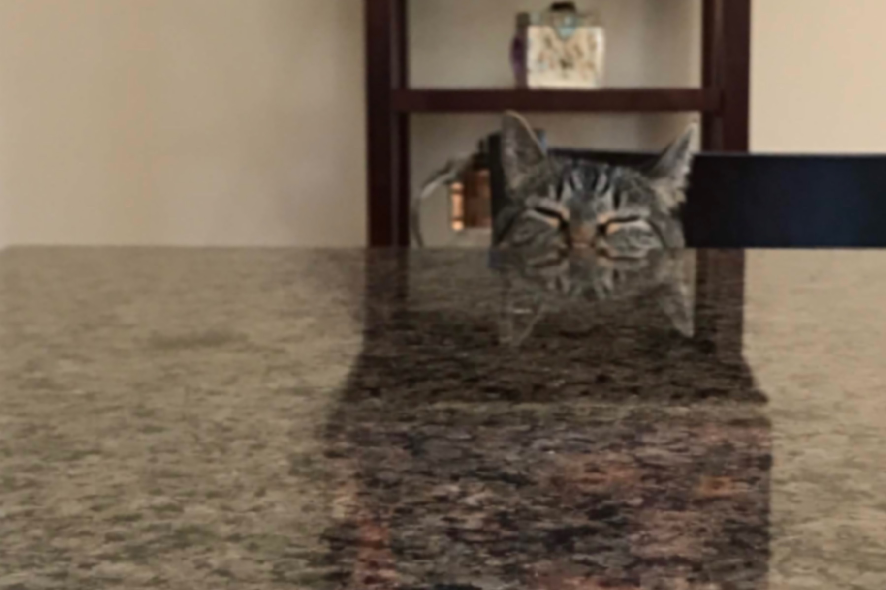 Top of cat’s head with sleepy eyes reflecting into the Formica below.