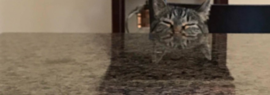 Top of cat’s head with sleepy eyes reflecting into the Formica below.