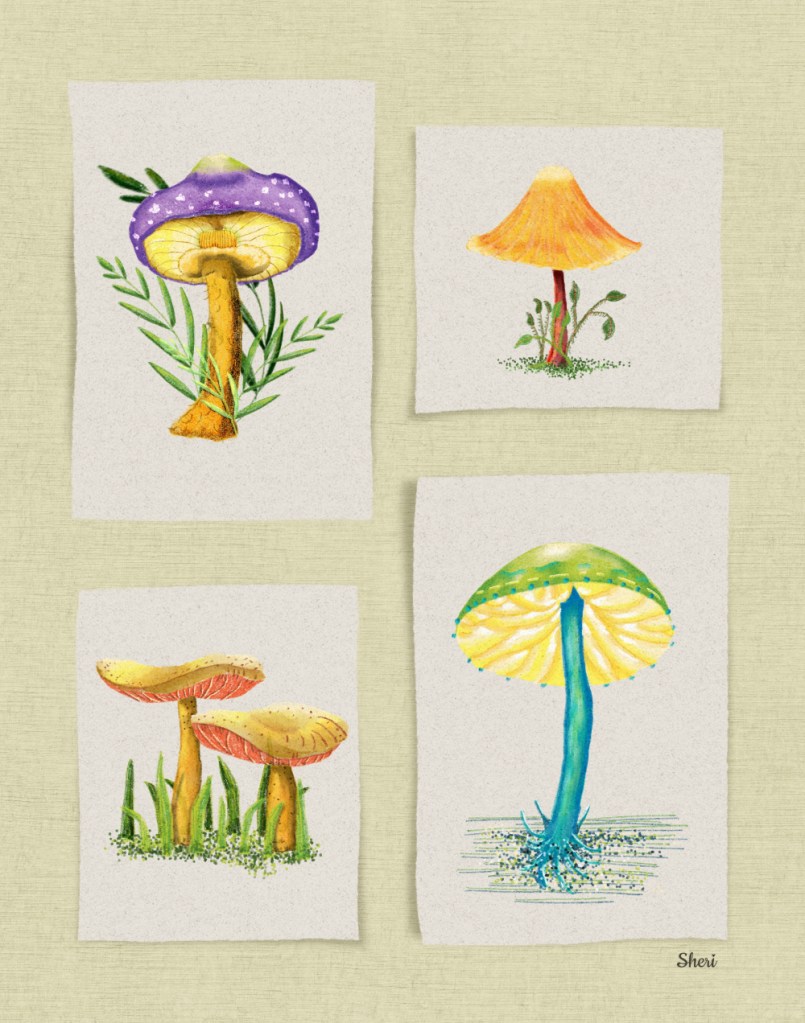 four different mushrooms stylized in digital colored pencil style