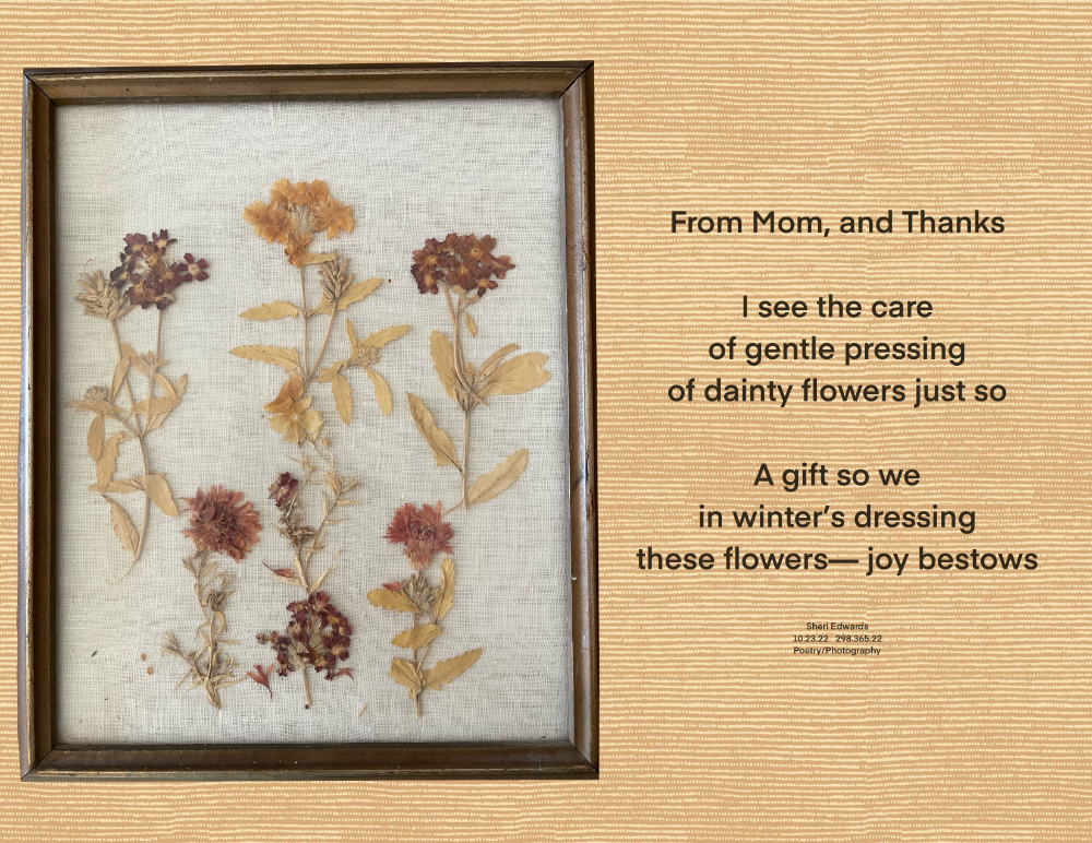 framed pressed flowers