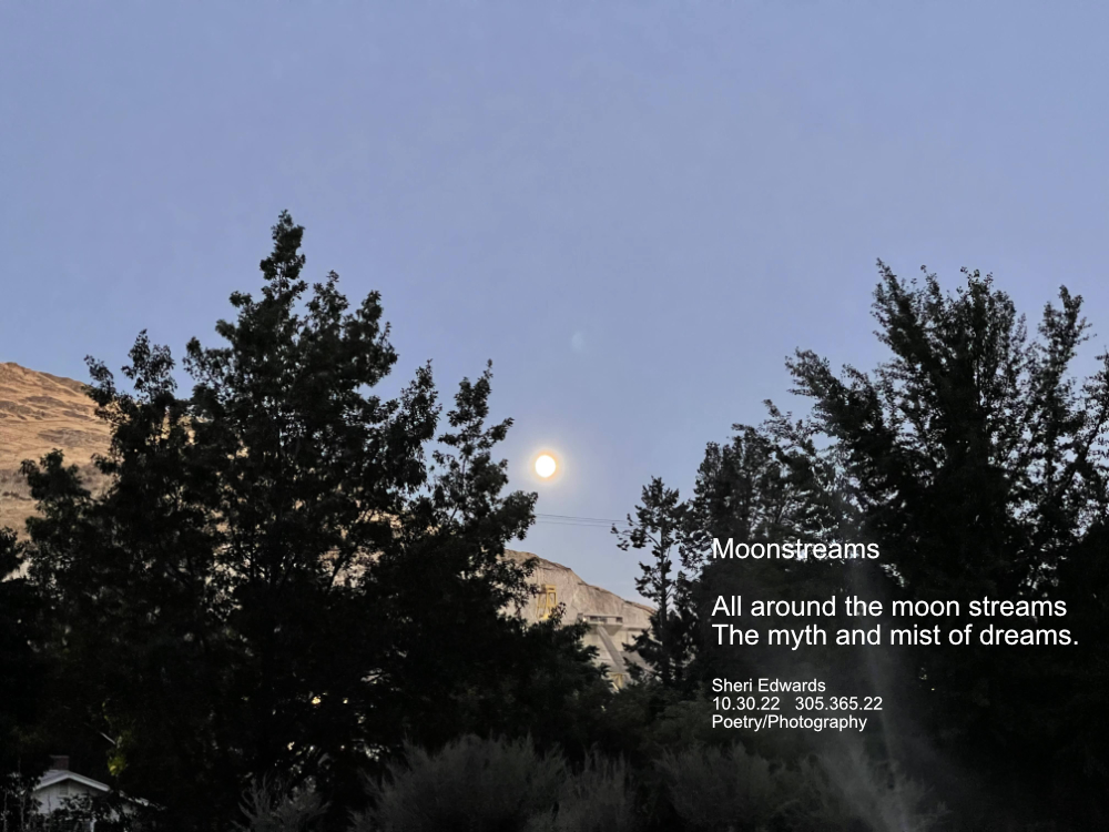 the moon across the river through the trees and homes above the hillside with the poem from the post.