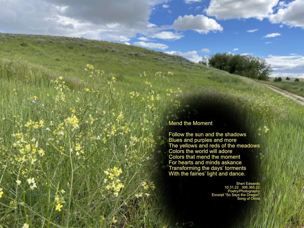 meadow of yellow flowers with a road curving into the picture at right into a grove of far away trees