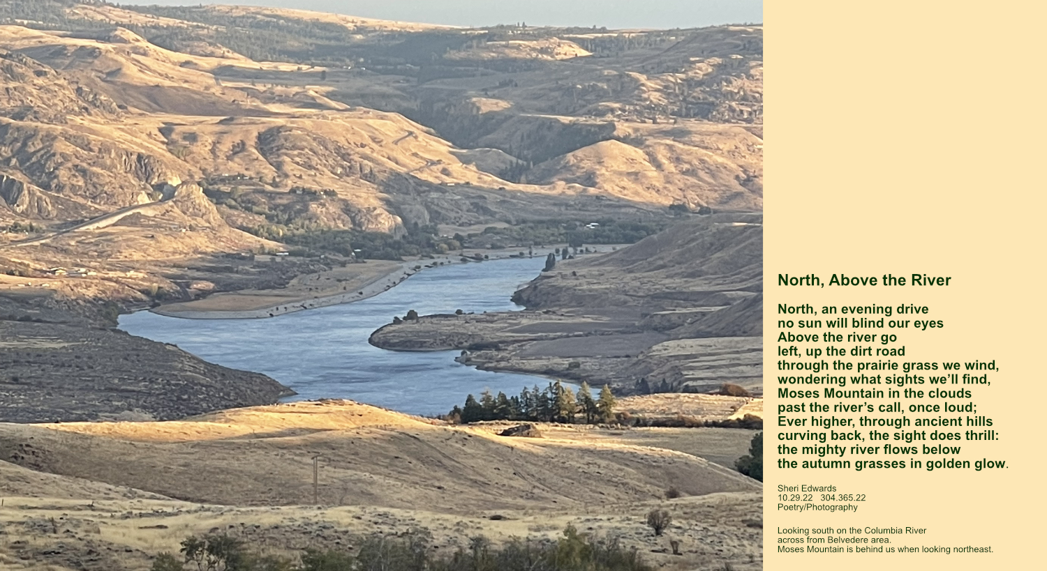 Looking south at the Columbia River on the northernmost part of the Columbia Basin along Lake Rufus Woods over the shrub-steppe ecosystem and its prairie grasses. Moses Mountain is behind us when looking northeast.