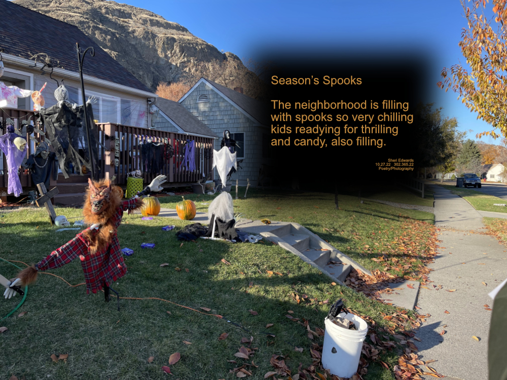neighborhood home with ghosts and wolf scarecrows and pumpkins ready for Halloween