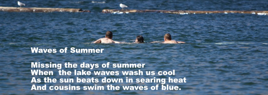 three swimmers in the waves of a large lake - swimming to the wooden water break
