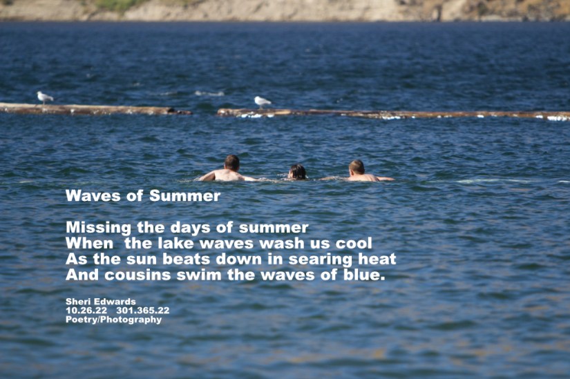three swimmers in the waves of a large  lake  - swimming to the wooden water break