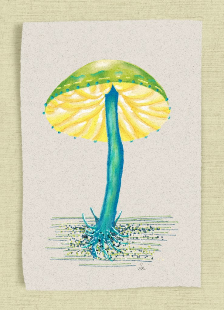 digital colored pencil mushroom in teal stem, and yellow beneath  and green cap