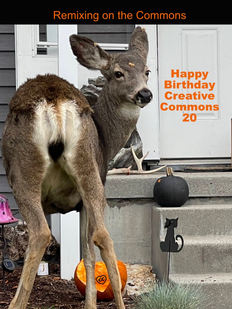 mule deer doe looking at camera while eating pumpkin it knocked from the porch; A heart CC in the pumpkin and "Remixing on the Commons" and "Happy Birthdy Creative Commons 20