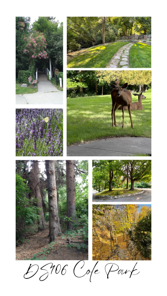 Various scenes from a park— lavender, butterfly, mule deer, trees, stone walkways, autumn leaves, footbridge