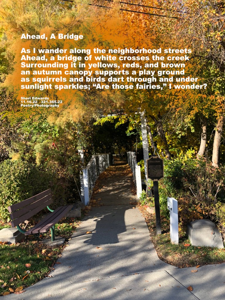 Ahead, A Bridge

As I wander along the neighborhood streets
Ahead, a bridge of white crosses the creek
Surrounding it in yellows, reds, and brown
an autumn canopy supports a play ground
as squirrels and birds dart through and under
sunlight sparkles; “Are those fairies,” I wonder?

Sheri Edwards  
11.16.22   321.365.22  
Poetry/Photography