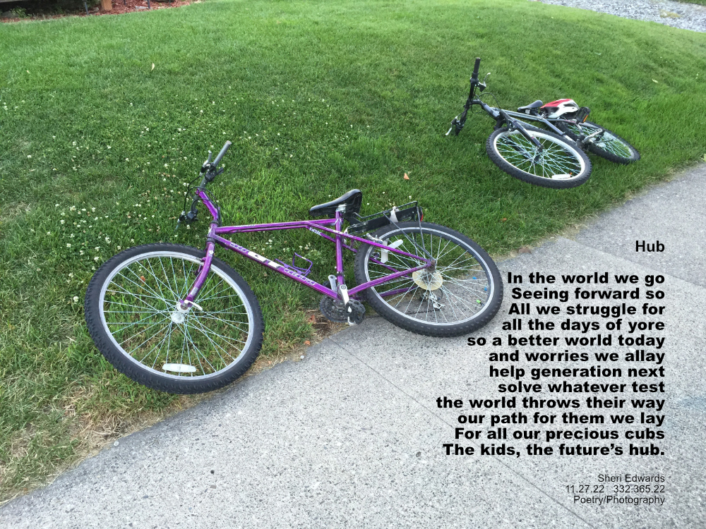 two children's bikes laying on their side just off the sidewalk on the lawn with the post poem, Hub.