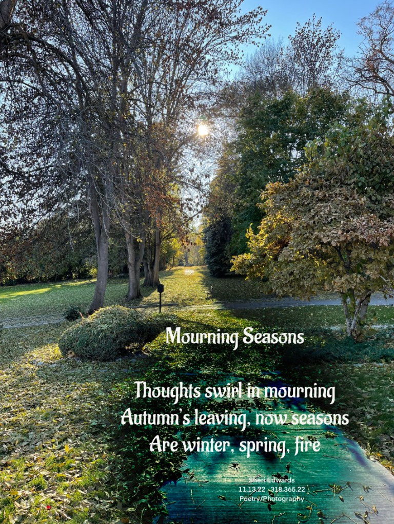 green leaves fall in November all at once instead of autumn's colorful yellows: climate change