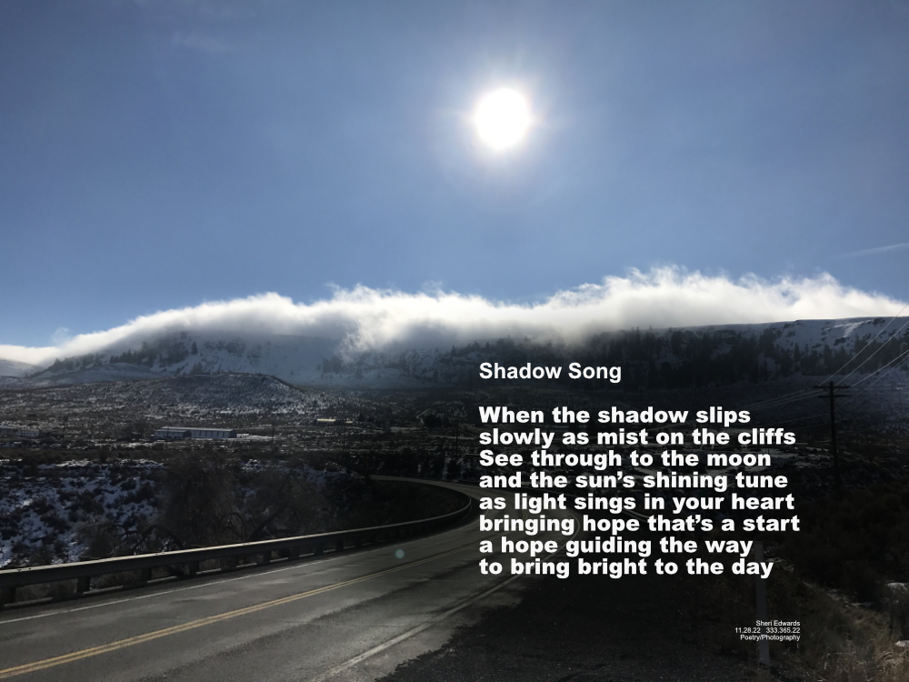 along the highway the fog rolls over the basalt cliffs beneath a winter sun