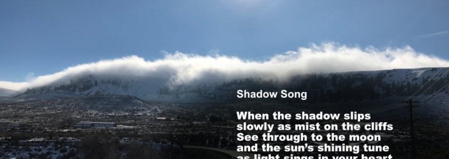 along the highway the fog rolls over the basalt cliffs beneath a winter sun