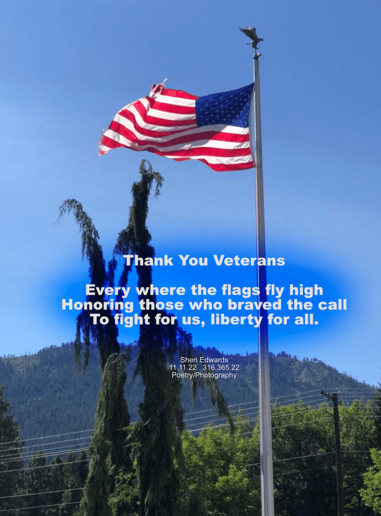 American flag flying in the wind