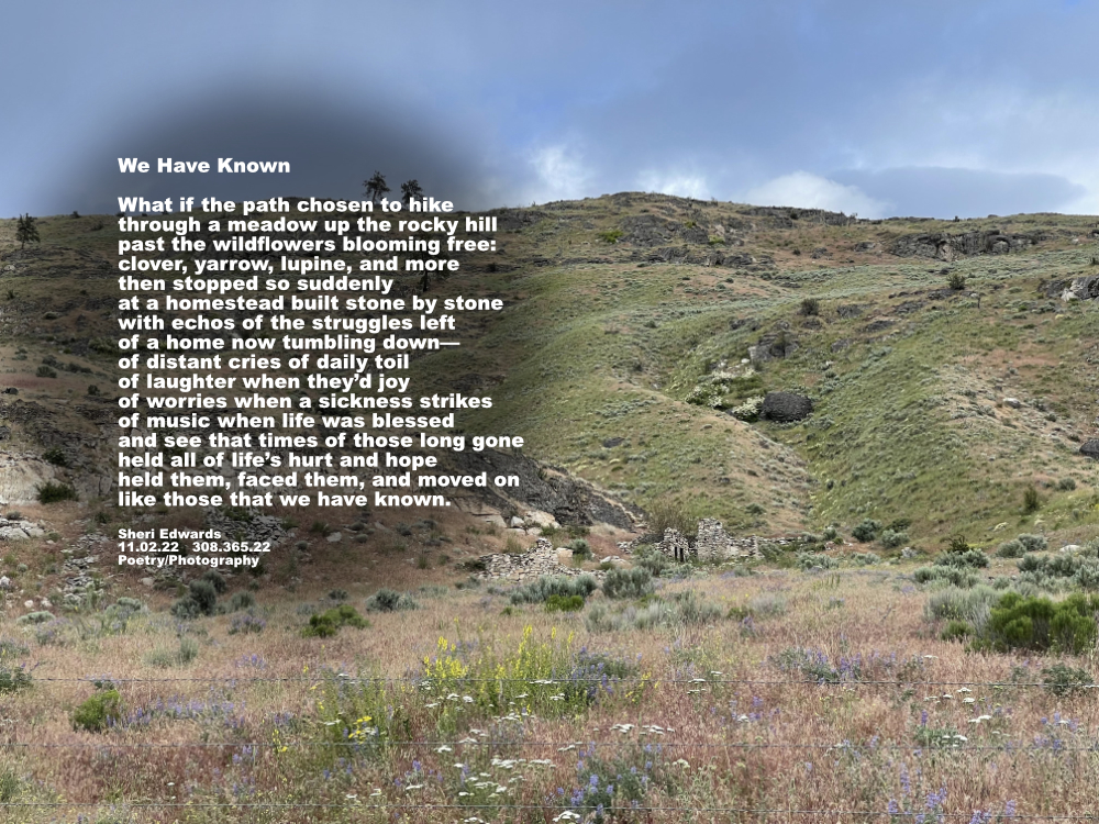 basalt and granite hillside covered in grasses and wildflowers with an old stone homestead in the ravine, crumbling with age
