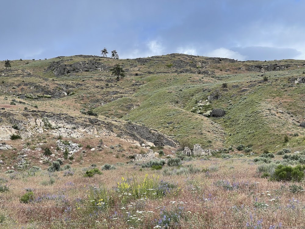basalt and granite hillside covered in grasses and wildflowers with an old stone homestead in the ravine, crumbling with age