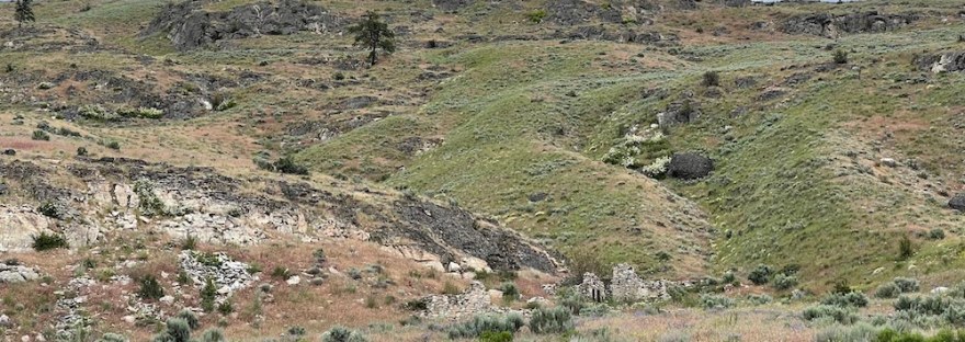 basalt and granite hillside covered in grasses and wildflowers with an old stone homestead in the ravine, crumbling with age