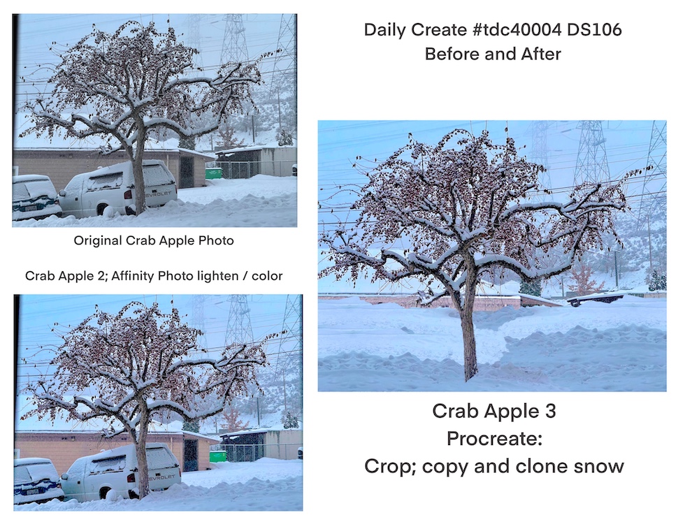 Snowy Crap Apple tree in various forms of remix to show off the tree without the vehicles
