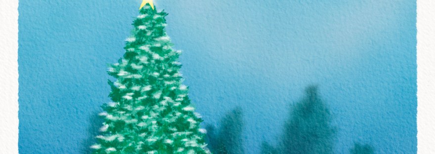 in the evergreen forest on a moonlit night, one snowy spruce tree stands out with a shining bright star