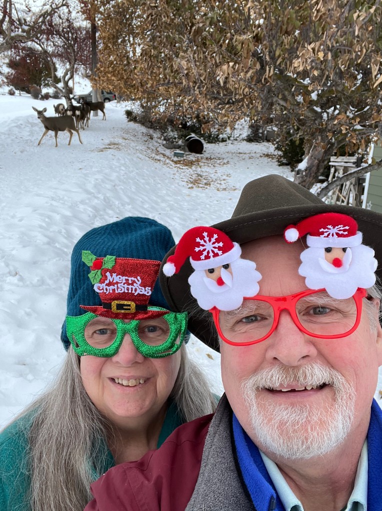 Sheri and Scott in front of the herd of deer in our backyard. We're wearing Merry Christmas elf and Santa plastic glasses