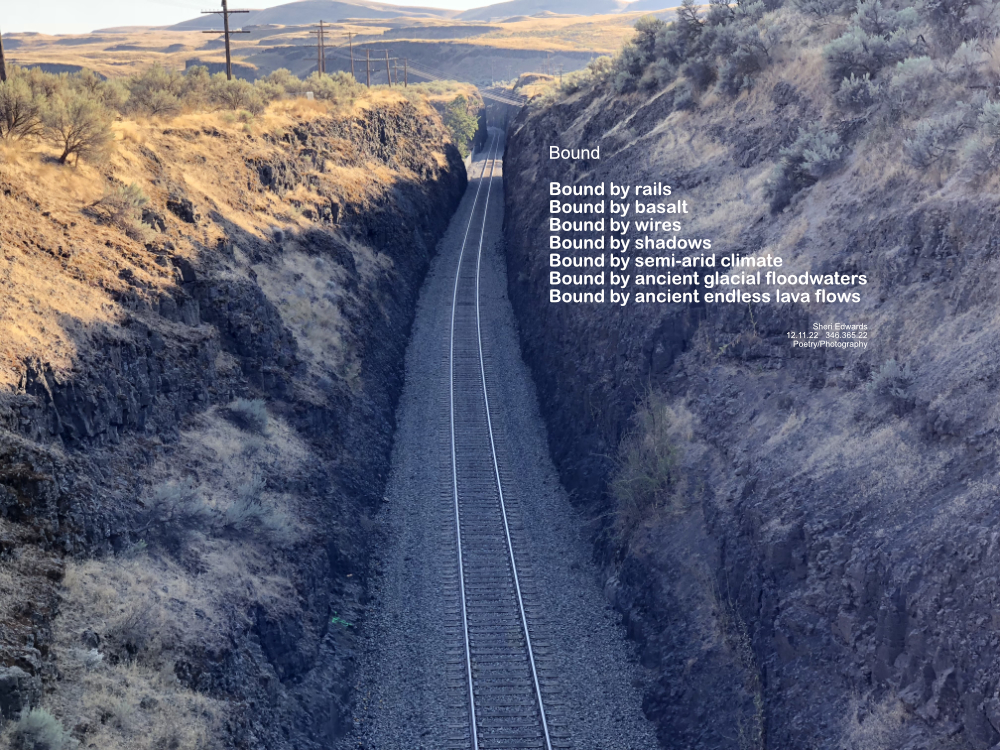 Railroad tracks in basalt cut below semi-arid landscape of sagebrush with miles of power lines along ancient lava flow landscape carved by less ancient massive glacial floods. Poem in post