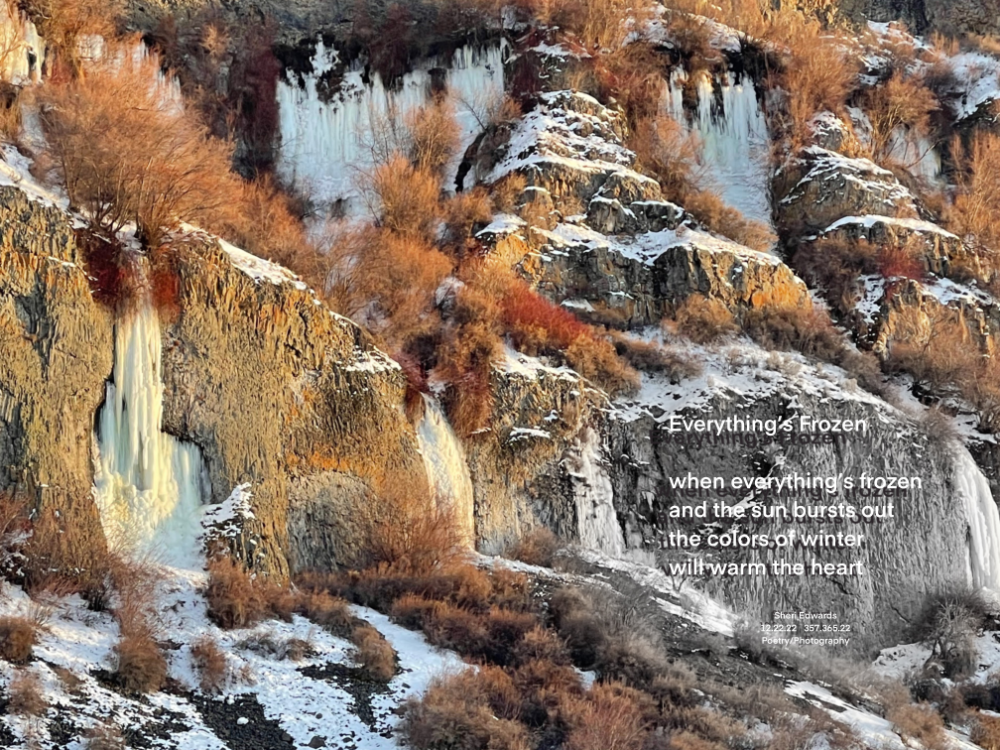 cliffs of basalt with frozen waterfalls and red willows with brown sagebrush