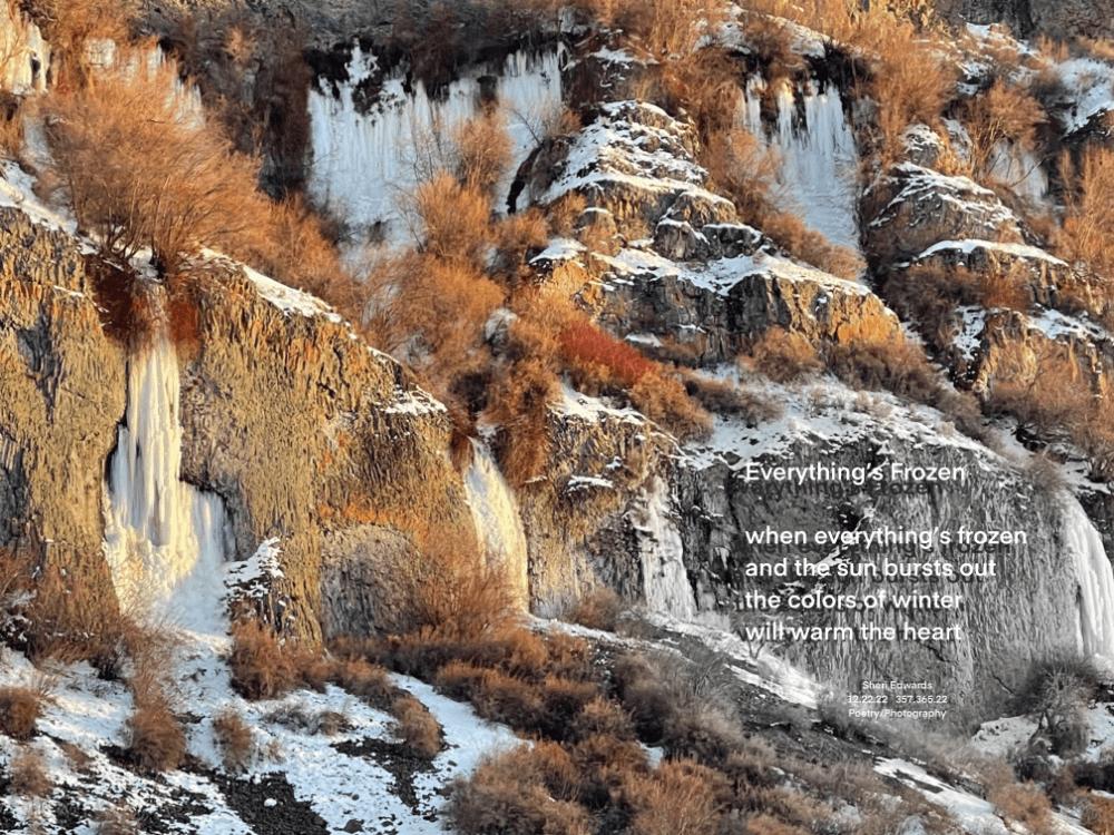 cliffs of basalt with frozen waterfalls and red willows with brown sagebrush