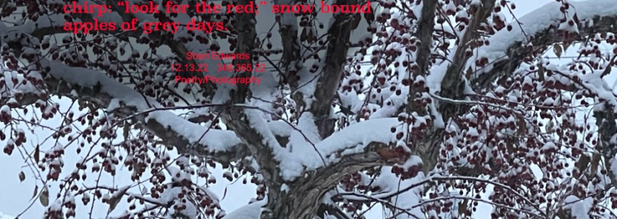 snow-covered curvy branches full of red small crab apples on a grey winter day