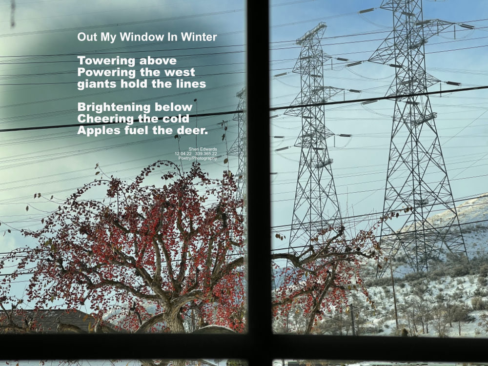 Out the window on the hills giant power lines cover the sky while below the crimson of crab apples brighten the scene.