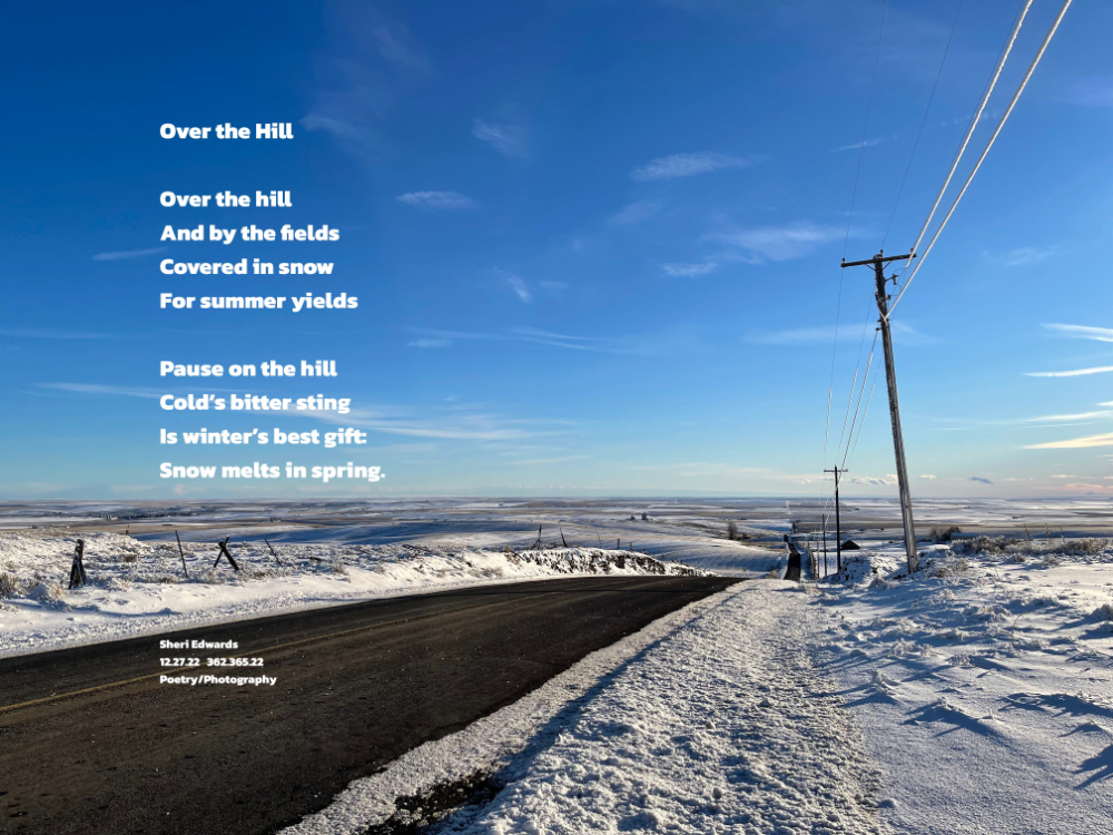 Winter, December, 2021: Grant County, WA Road V NE and Road 47NE in at the top of the hill of infinite snowy hills and fields