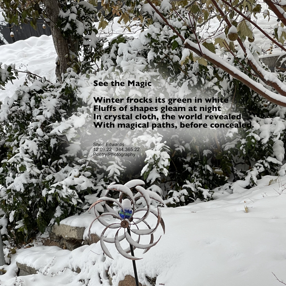 Snow-frocked Oregon grape and lilac bushes along a stone path and a snow-covered wind yard ornament