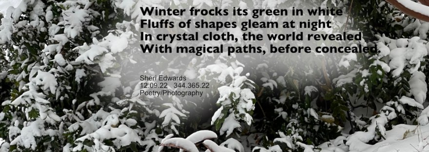 Snow-frocked Oregon grape and lilac bushes along a stone path and a snow-covered wind yard ornament