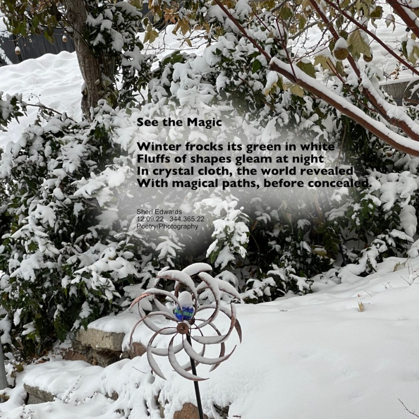 Snow-frocked Oregon grape and lilac bushes along a stone path and a snow-covered wind yard ornament