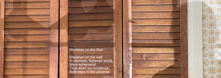 Shadow of hanging lamps and a person on a louvred door and yellow / orange designed kitchen wallpaper