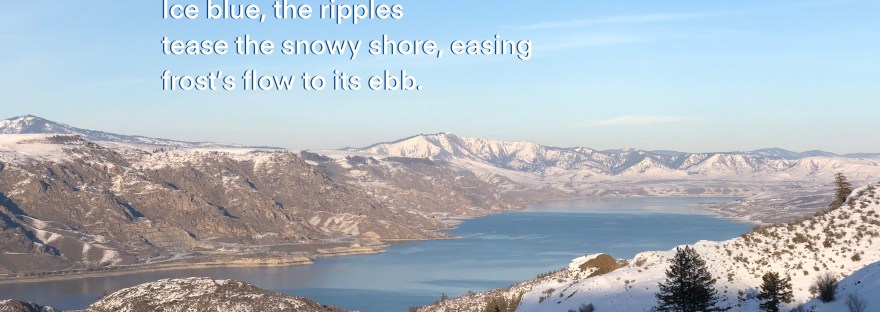 On a sunny winter day, this winding road provides beautiful views of Lake Roosevelt, dotted with pine and sagebrush and covered with snow above the icy blue of the lake. Lake Roosevelt National Recreation Area from Almira Highway in winter with my haiku