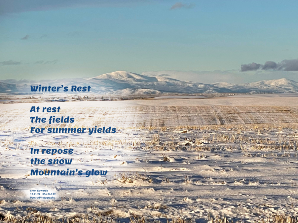 A winter day of sunshine and snow looking north to Moses Mountain beyond the cut fields