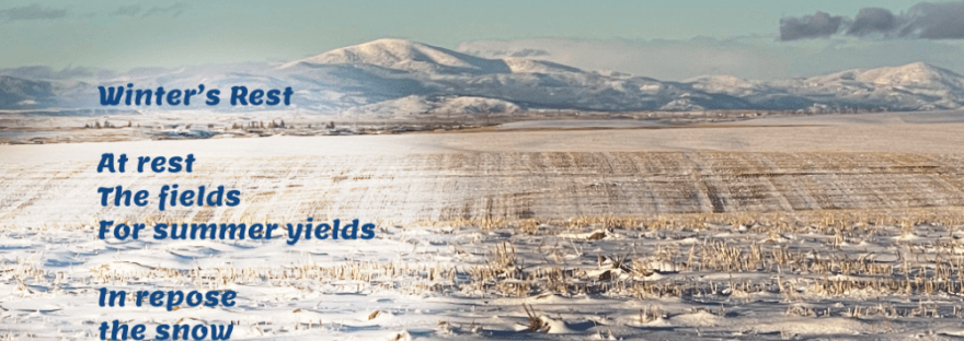 A winter day of sunshine and snow looking north to Moses Mountain beyond the cut fields