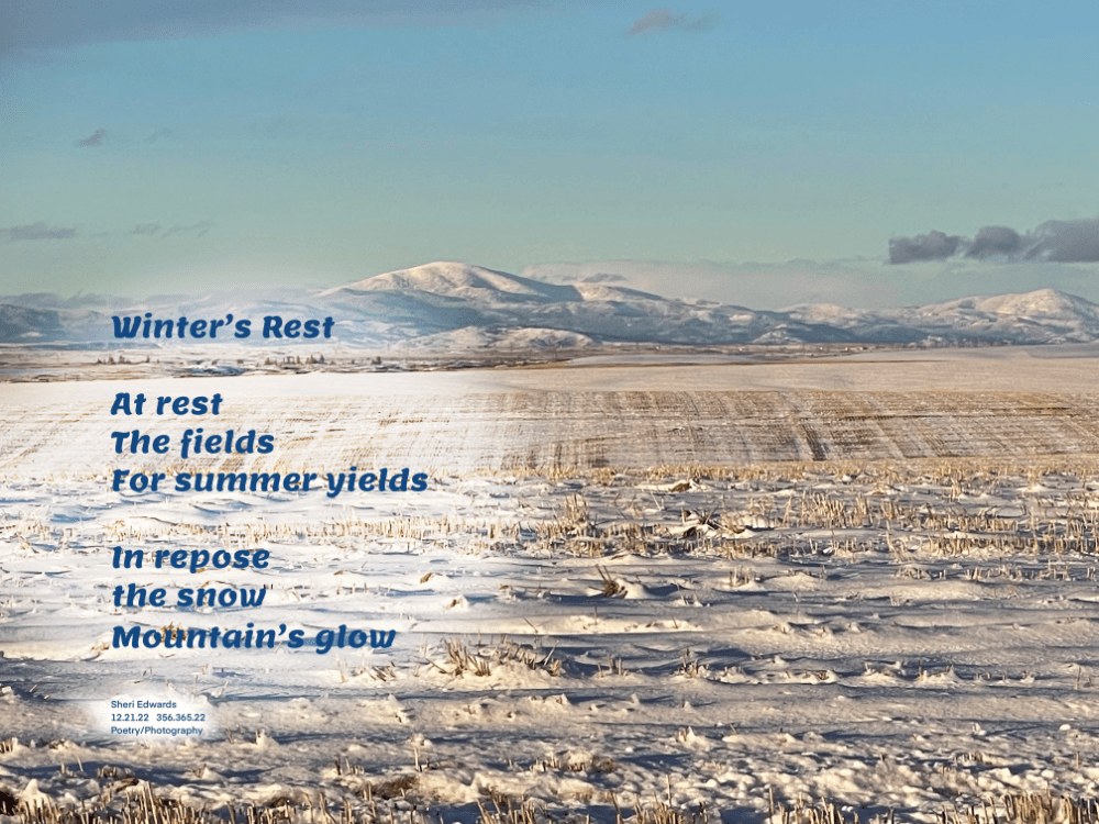 A winter day of sunshine and snow looking north to Moses Mountain beyond the cut fields